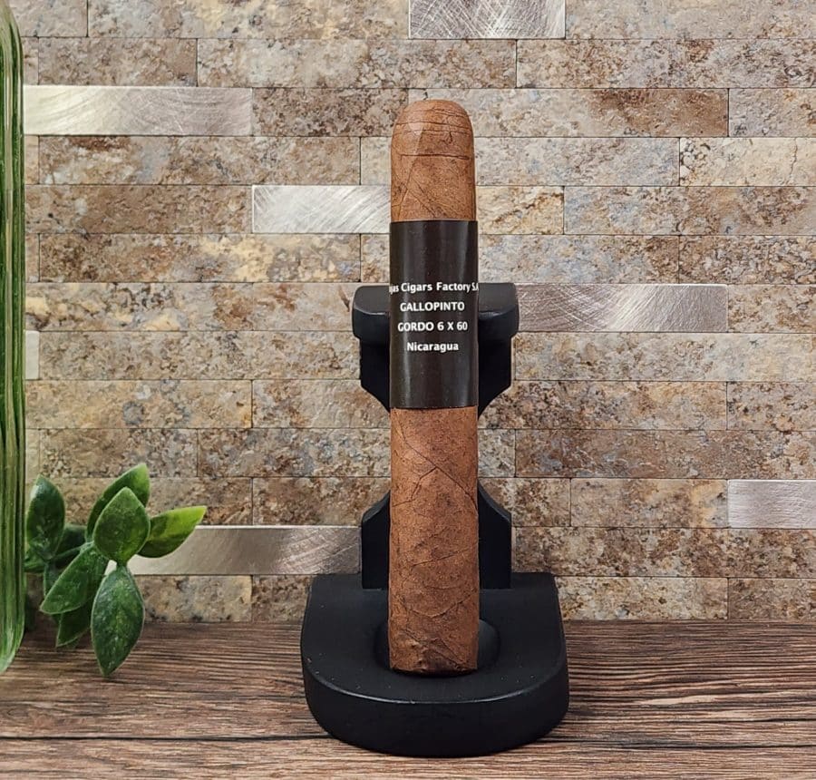 Rojas Gallo Pinto Gordo