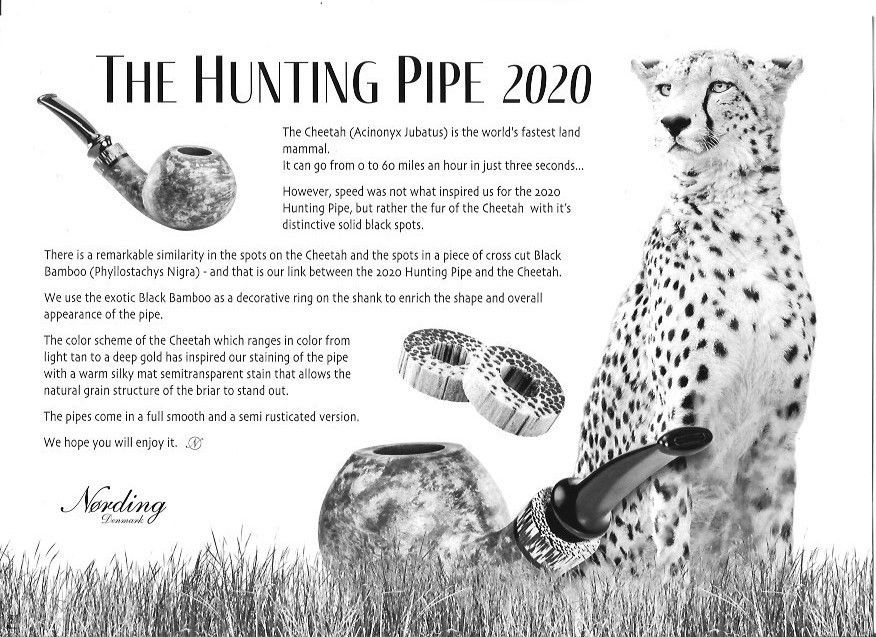 2020 The Cheetah