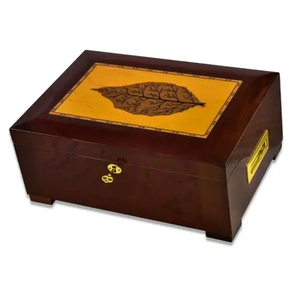 Humidor Burley Bark Leaf 150 Count P2